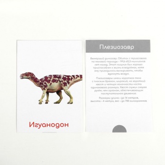 Обучающие карточки по методике Глена Домана Лас Играс Динозавры
