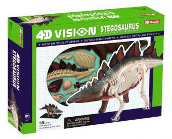 Анатомическая модель 4D Master Стегозавр